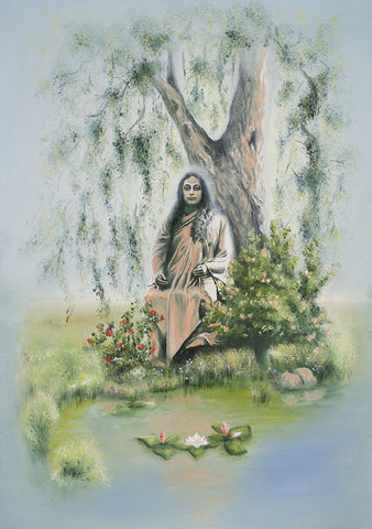 Samadhi under the tree